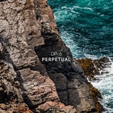 DP-6: Perpetual