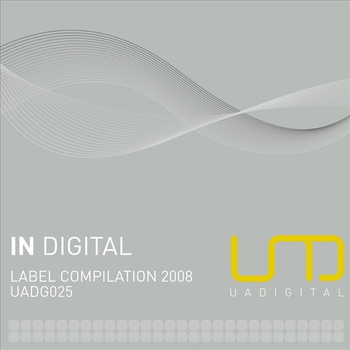 DP-6 VARIOUS - In Digital: Label Compilation 2008